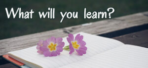 What Will You Learn